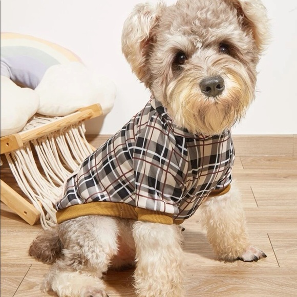 Dog Apparel Burberry Dog Jumper Furberry Classic Designer Dog